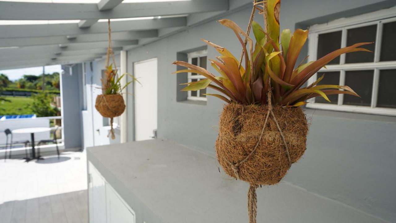 The Pelican Poshtel Σαν Χουάν Εξωτερικό φωτογραφία